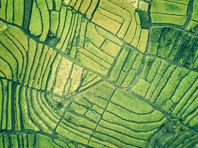 Investigation technology isn’t just useful – it’s necessary